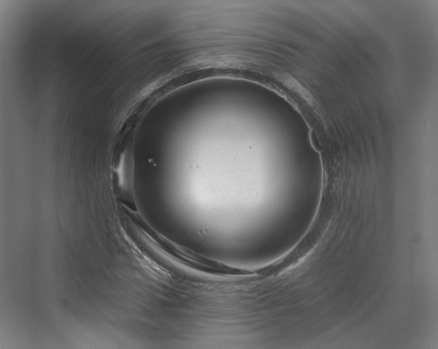 X0000070230922200606021343