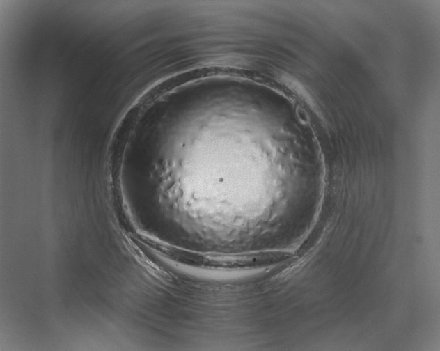 X0000070230923200606021343