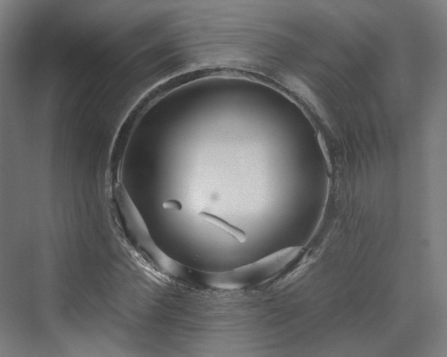 X0000070230924200606021343