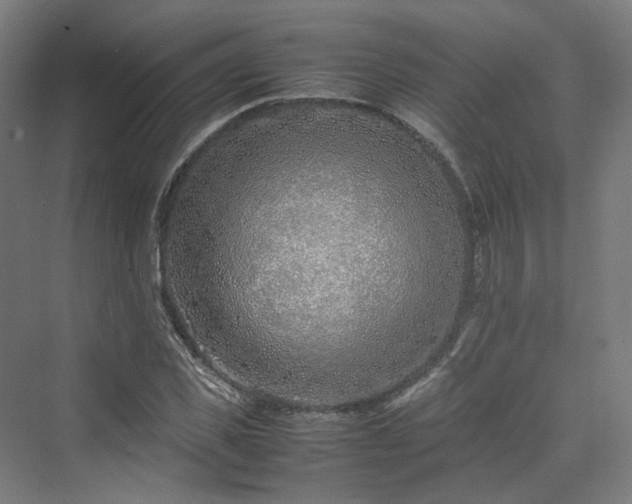 X0000070230925200606021343