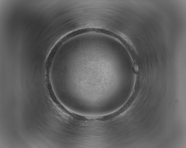 X0000070230926200606021343