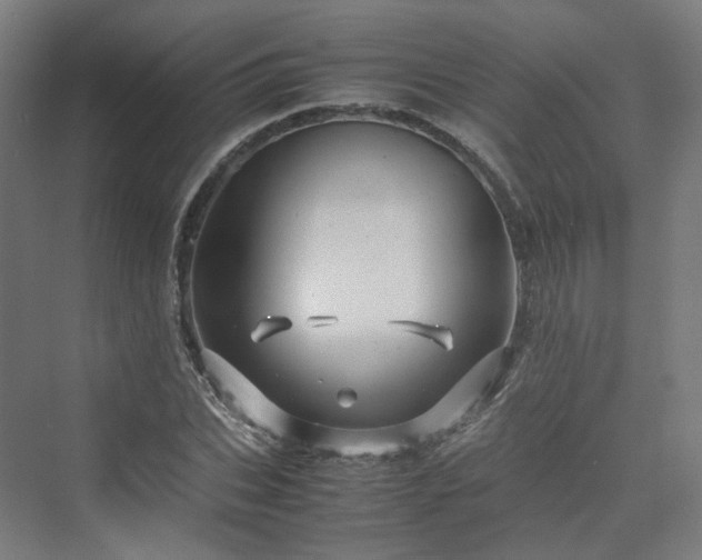 X0000070230927200606021343