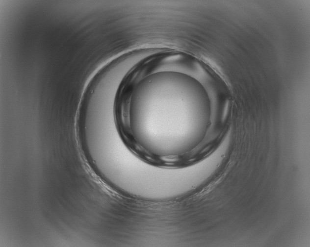 X0000070230928200606021343