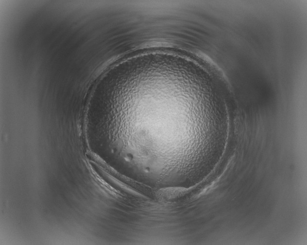 X0000070230929200606021343