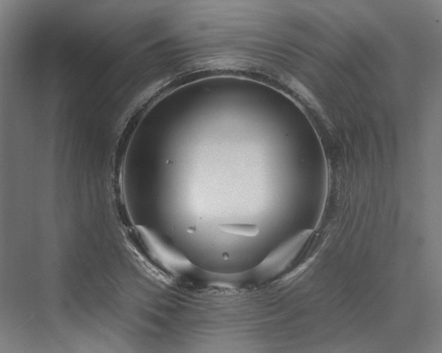 X0000070230930200606021343