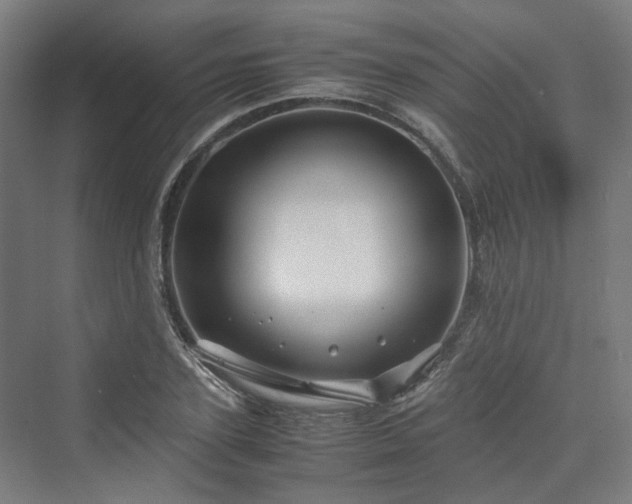 X0000070230931200606021343