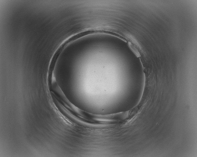 X0000070230932200606021343