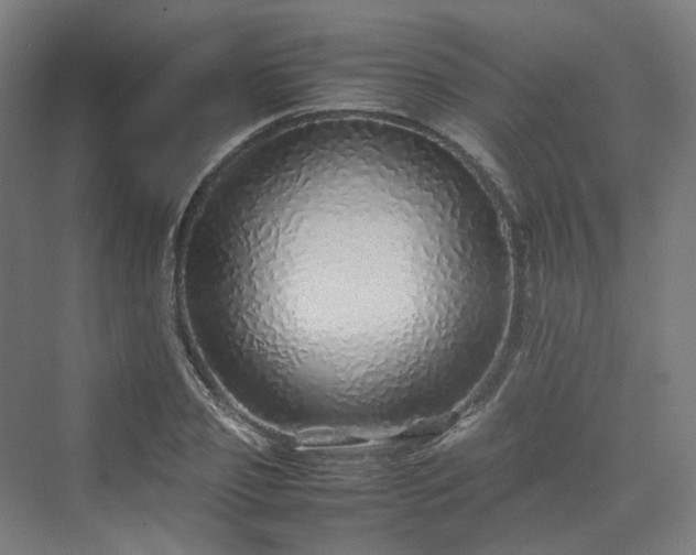 X0000070230933200606021343