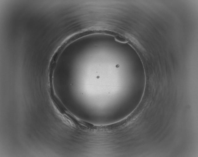 X0000070230934200606021343