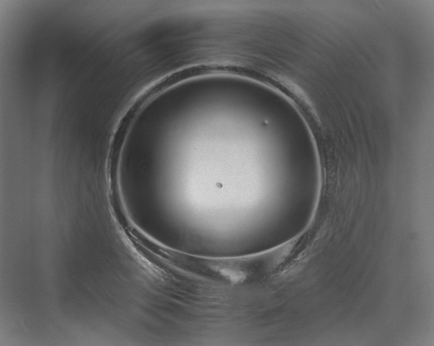 X0000070230935200606021343