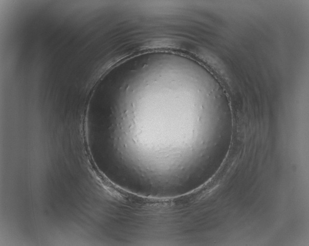 X0000070230937200606021343