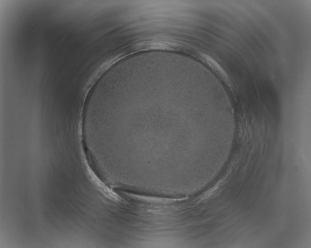 X0000070230938200606021343