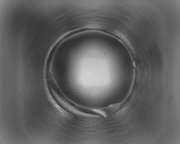 X0000070230939200606021343