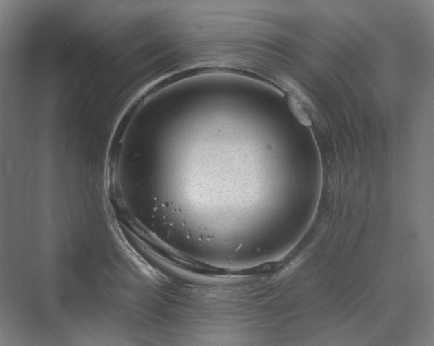 X0000070230940200606021343