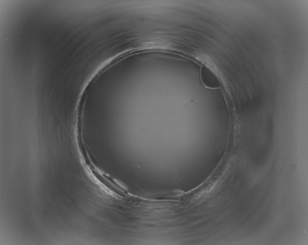 X0000070230941200606021343