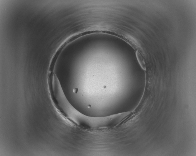 X0000070230942200606021343