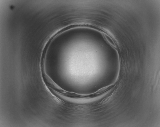 X0000070230943200606021343