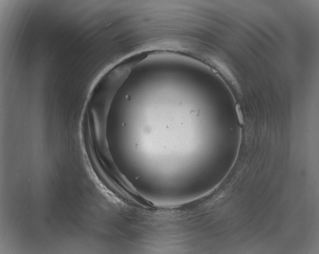 X0000070230944200606021344