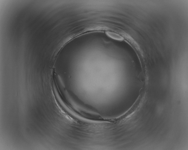 X0000070230945200606021344