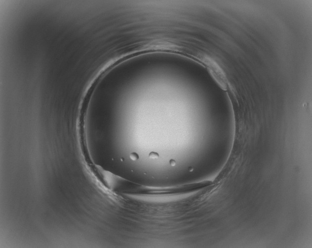 X0000070230947200606021344