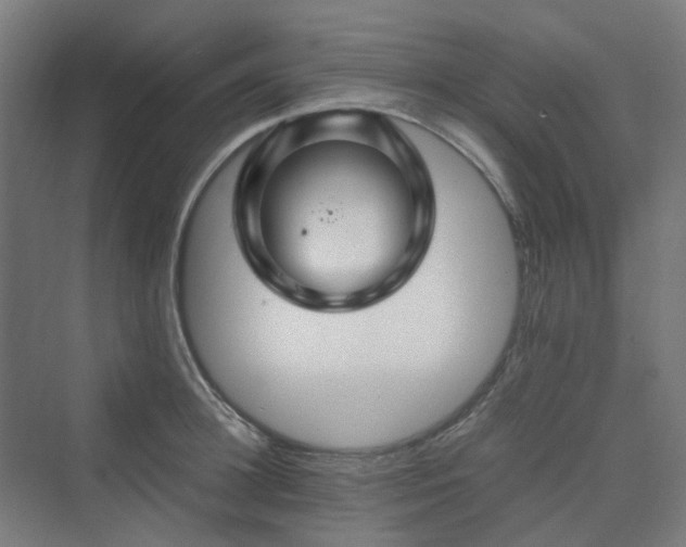 X0000070230948200606021344