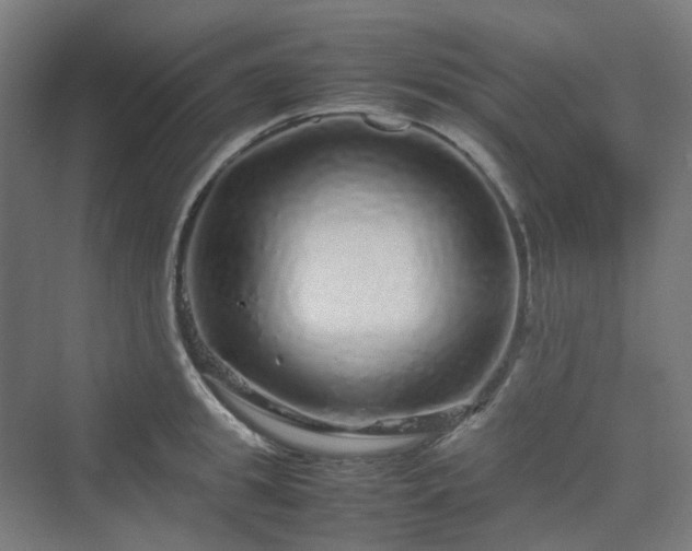 X0000070230949200606021344