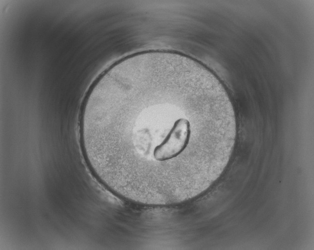 X0000070230950200606021344