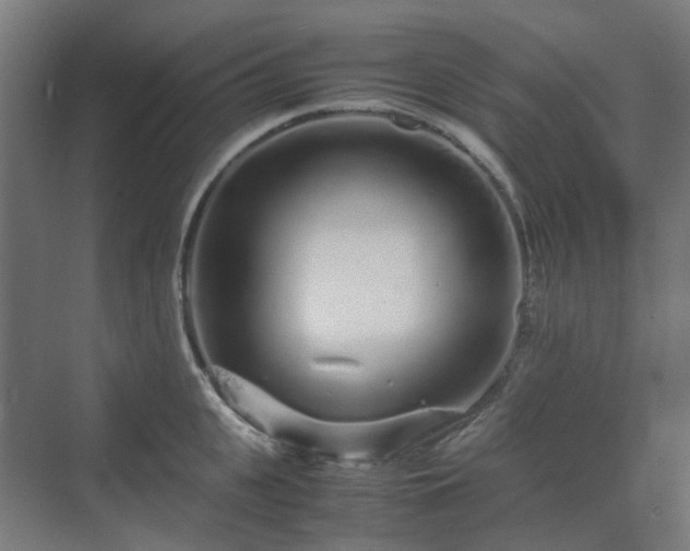 X0000070230951200606021344