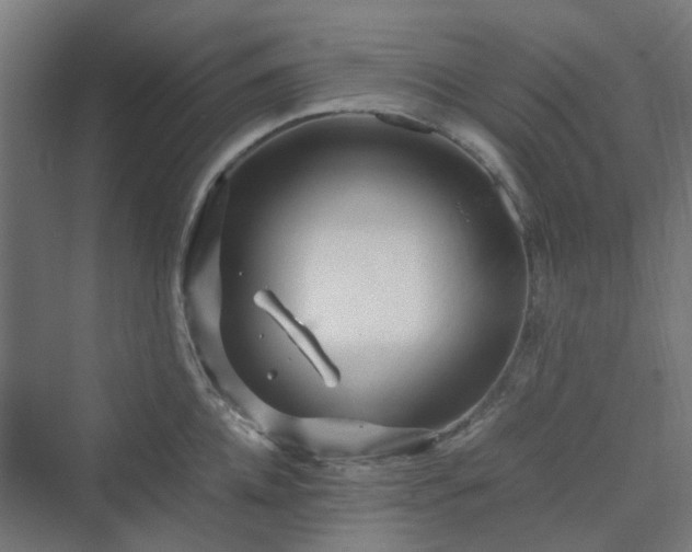 X0000070230952200606021344