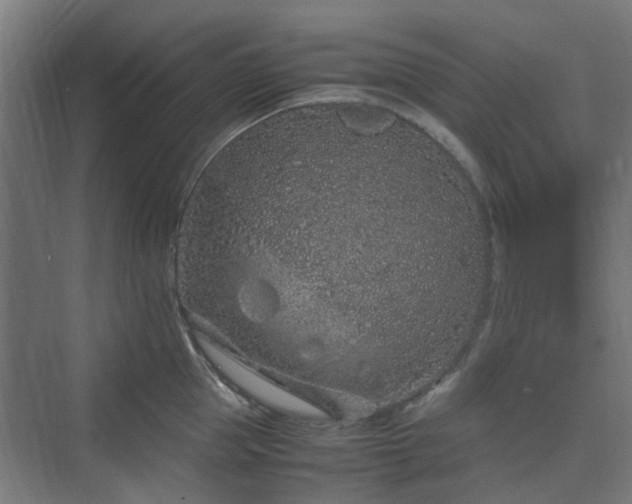 X0000070230953200606021344