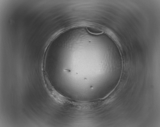 X0000070230954200606021344