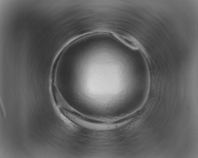 X0000070230955200606021344