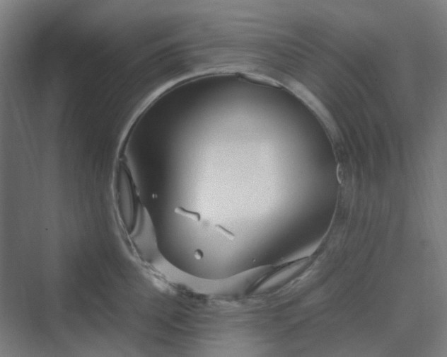 X0000070230956200606021344