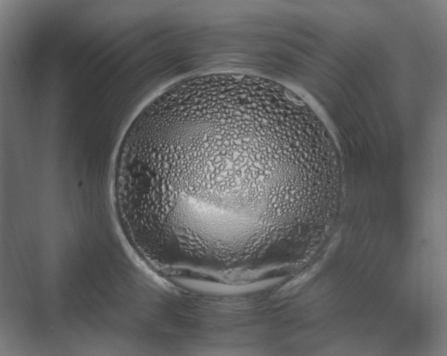 X0000070230957200606021344