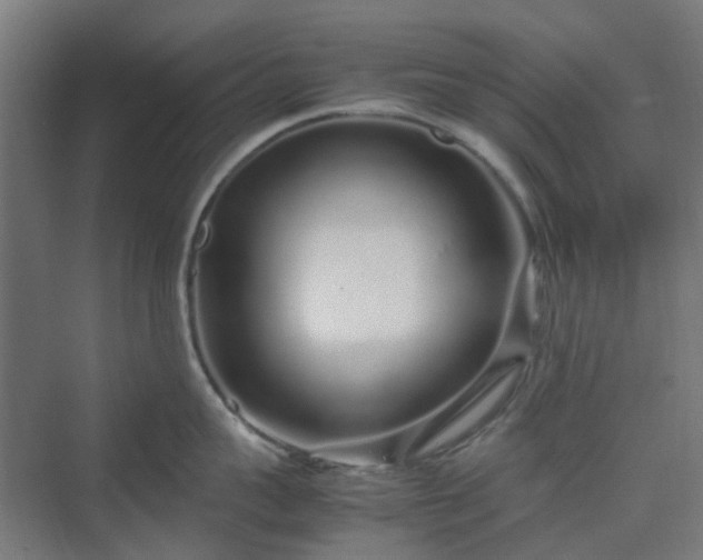 X0000070230959200606021344