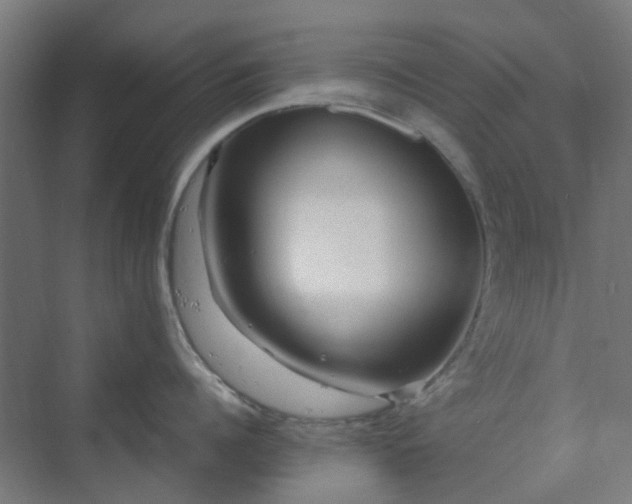 X0000070230960200606021344