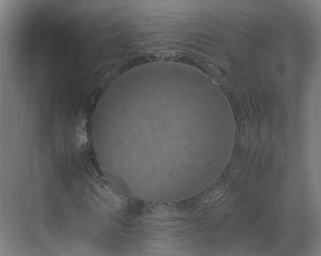 X0000070230962200606021343