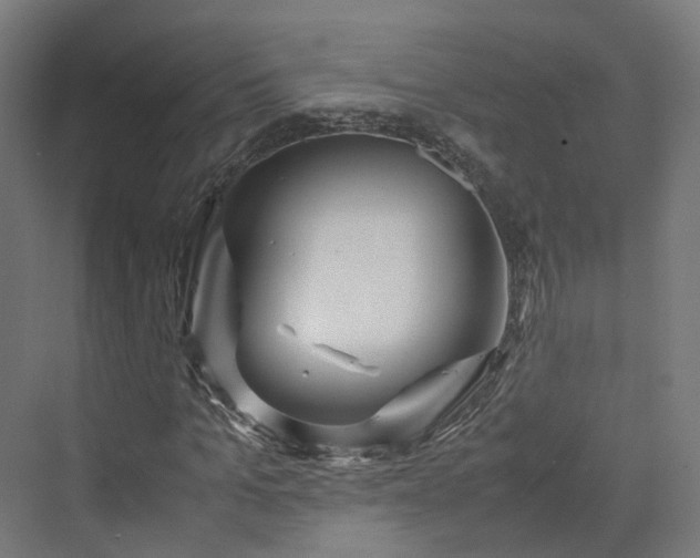 X0000070230965200606021343