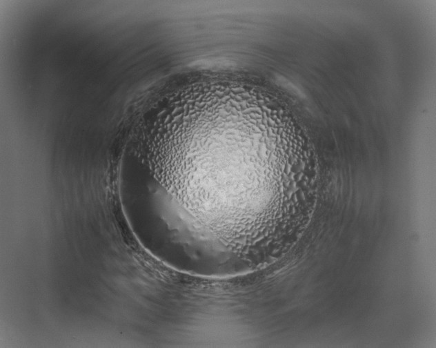 X0000070230966200606021343