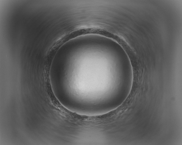 X0000070230967200606021343