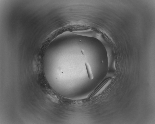 X0000070230968200606021343