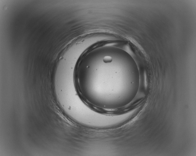 X0000070230969200606021343