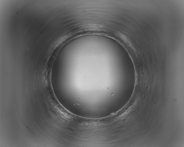 X0000070230970200606021343