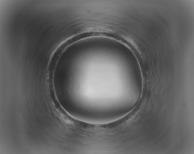 X0000070230971200606021343