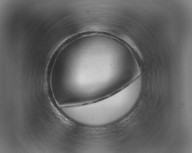 X0000070230972200606021343