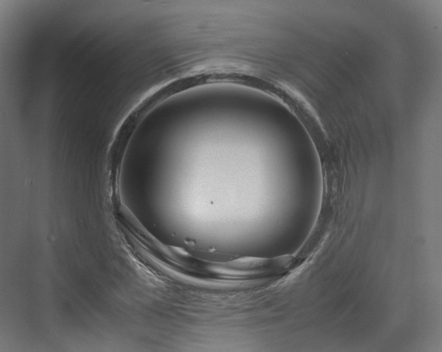 X0000070230973200606021343