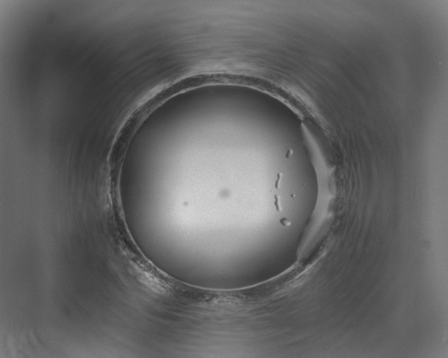 X0000070230974200606021343