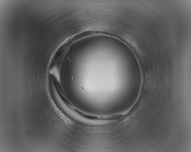 X0000070230976200606021343