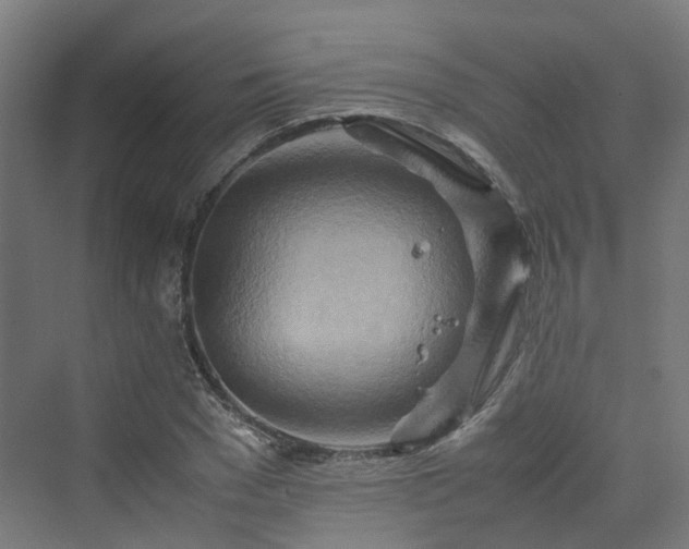 X0000070230977200606021343