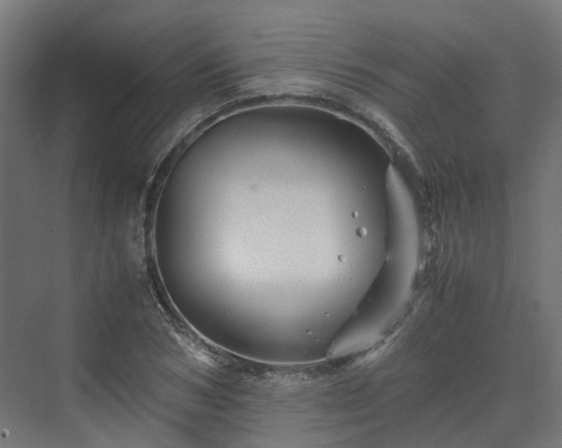 X0000070230978200606021343